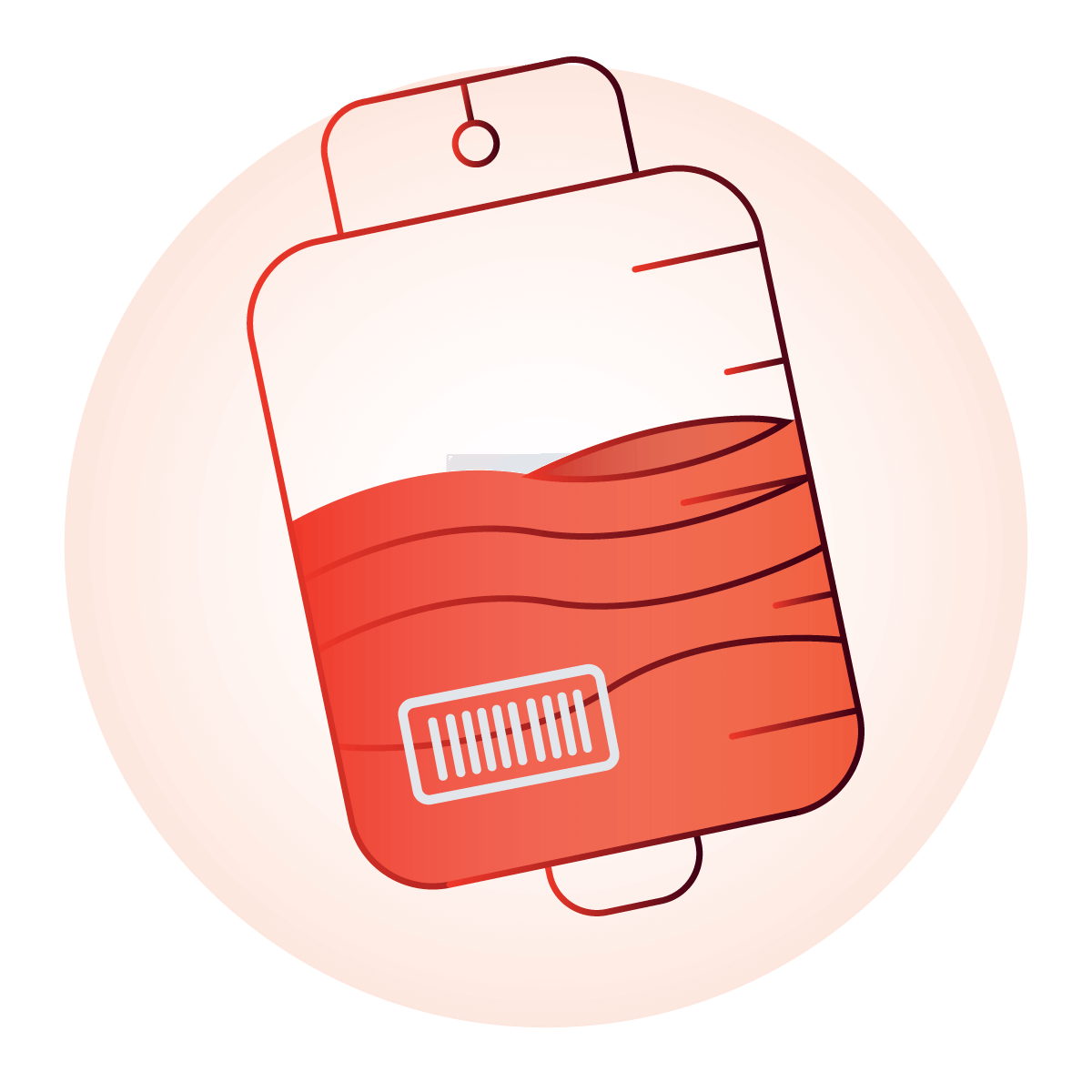 Step 2 – Identification