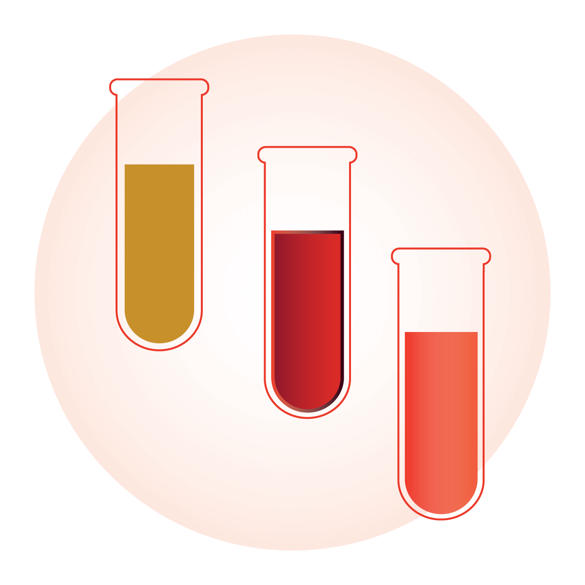 Step 6 – Medical Screening
