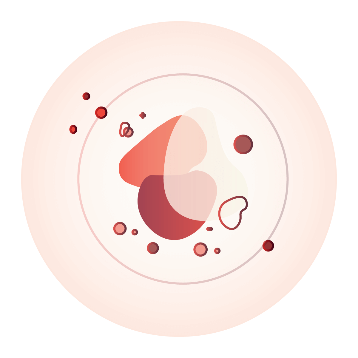 Step 4 – Verification