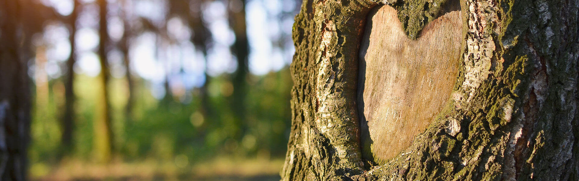 Healthcare teamwork placeholder