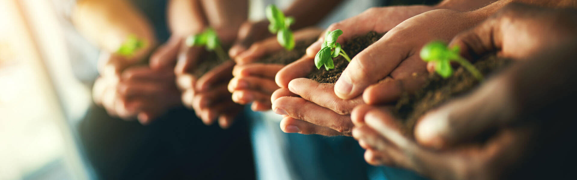 Healthcare teamwork placeholder