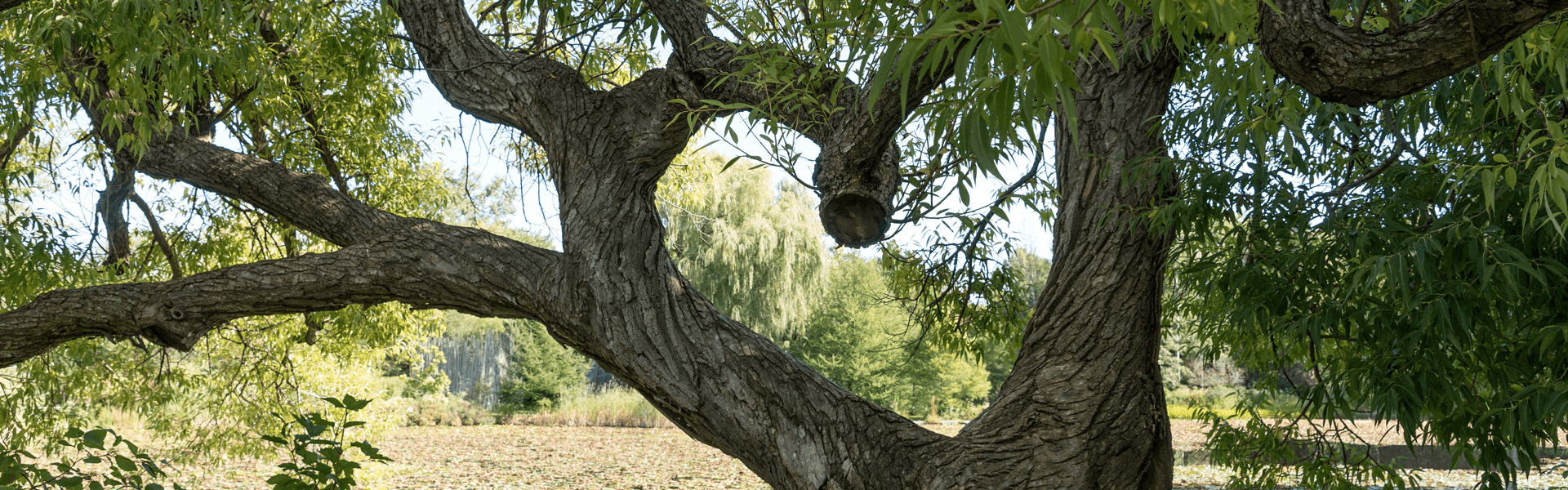 Healthcare teamwork placeholder