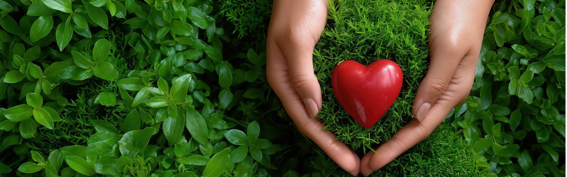 Healthcare teamwork placeholder