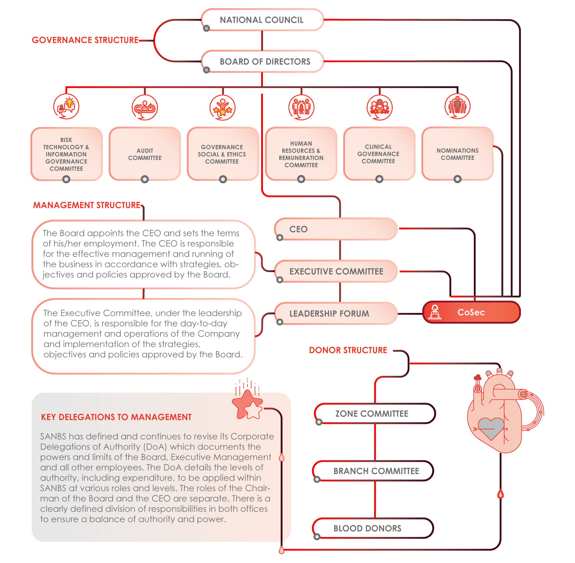 SANBS Governance Structure Figure 2